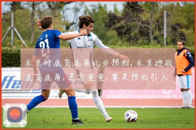 东京对鹿岛鹿角比分预测,东京迎战鹿岛鹿角,悬念重重,赛果预测引人瞩目,一触即发